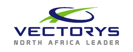 Logo Vectorys
