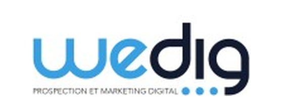 Logo Wedig